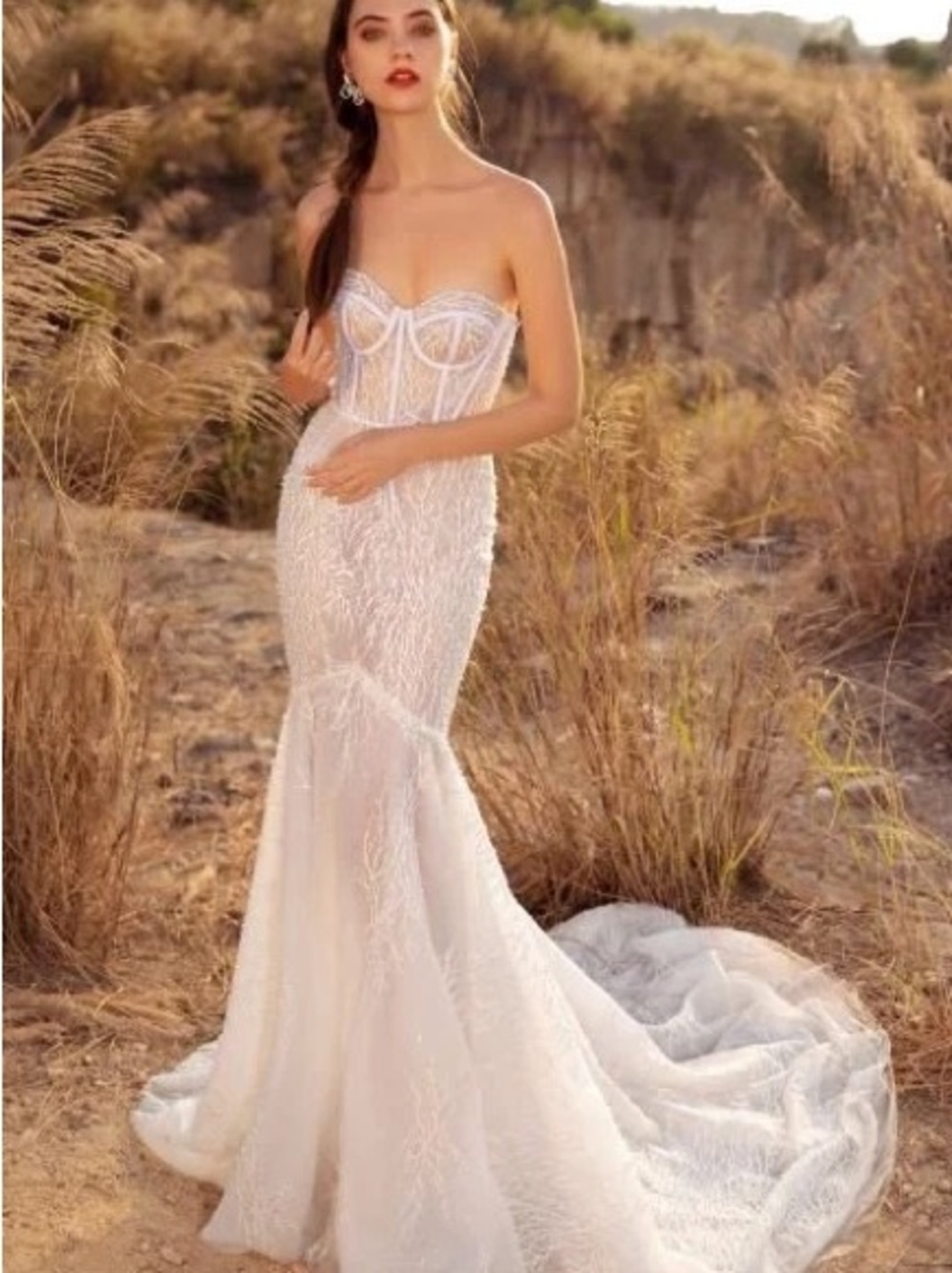 La Premeire Insolence Wedding Dress.